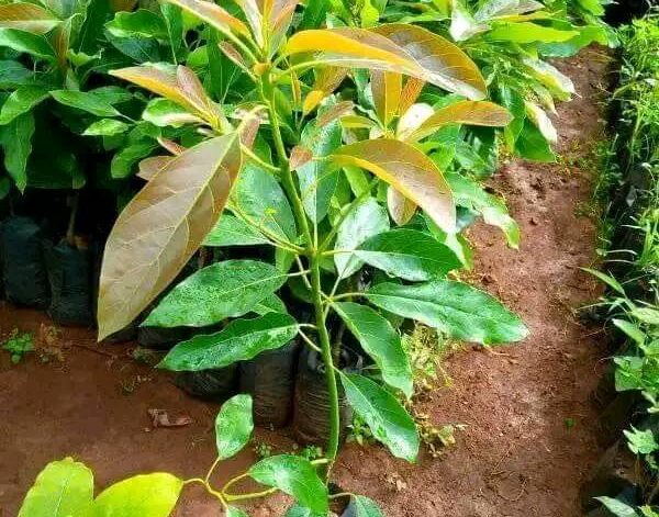 400239991_1448110792408261_1030900647548123963_n