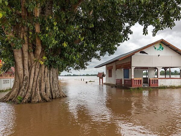 1024px-Flooded_building_and_tree_trunk_in_the_muddy_water_of_the_Mekong_in_Si_Phan_Don_Laos_September_2019
