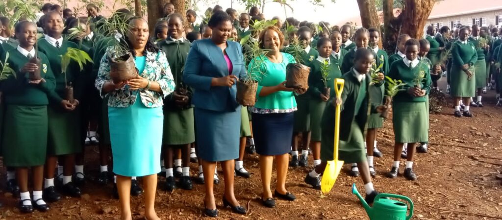 Royal Seedlings Facilitating Market Access and Business Sustainability for Youth-Led Agribusinesses