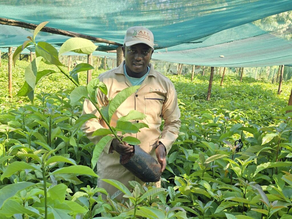 Seed Certification Systems and Their Economic Benefits