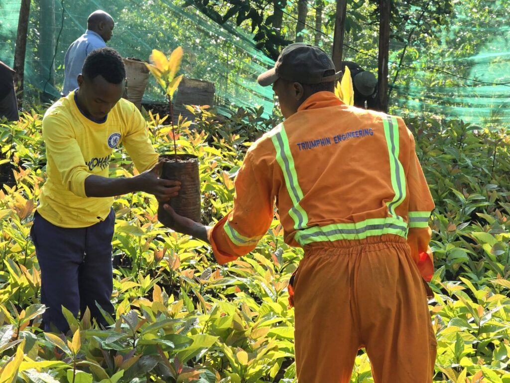 farmers holding avocado seedlings - getting ready for e-commerce sale