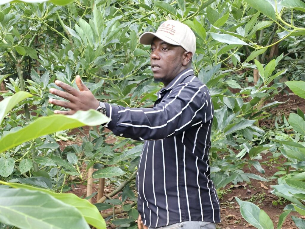 Organic farming in kenya