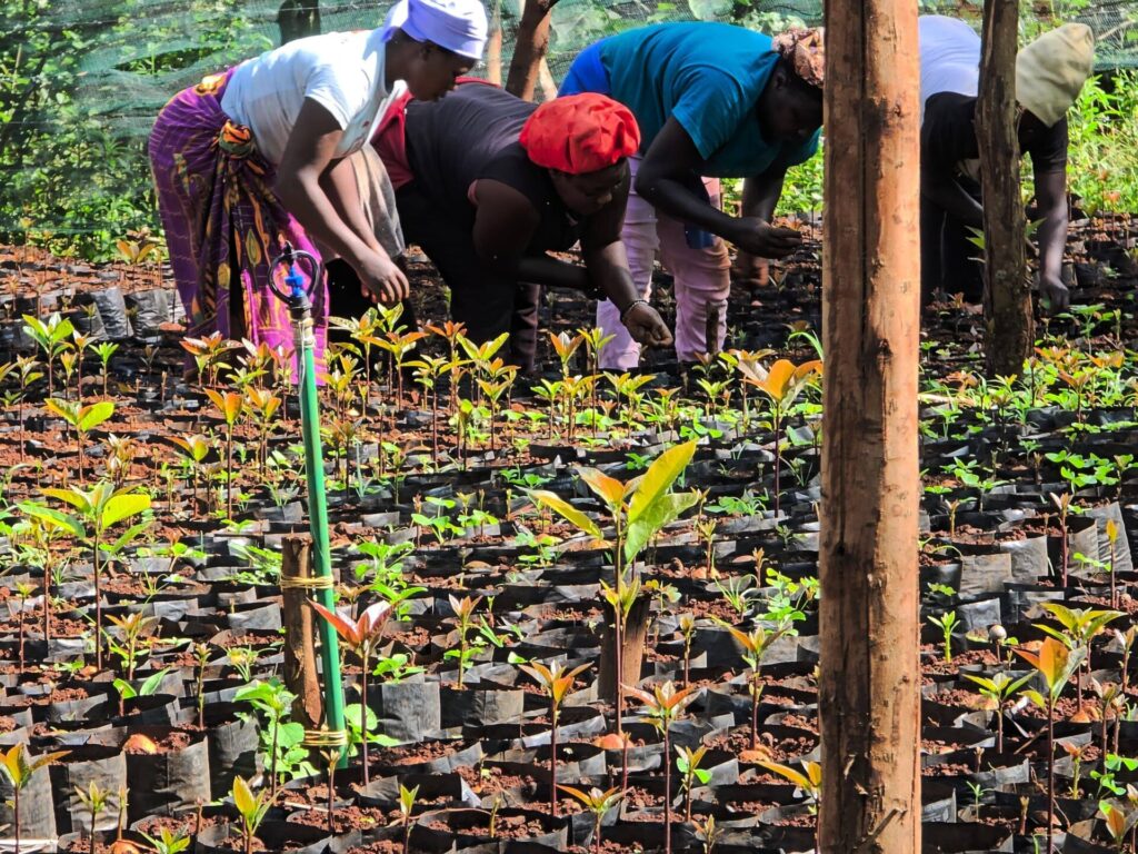 farmers at a training session for a good nursery