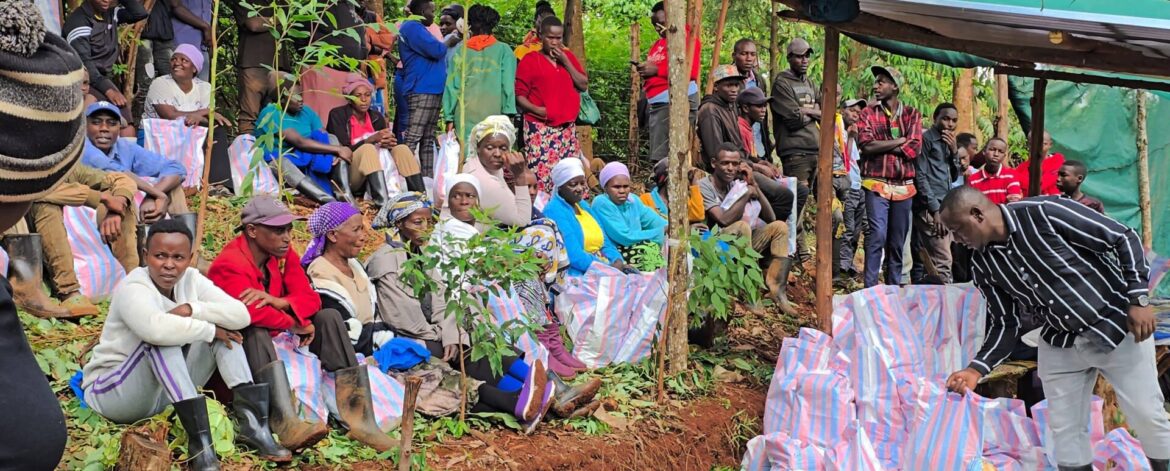 educating farmers on tree tomato best practices