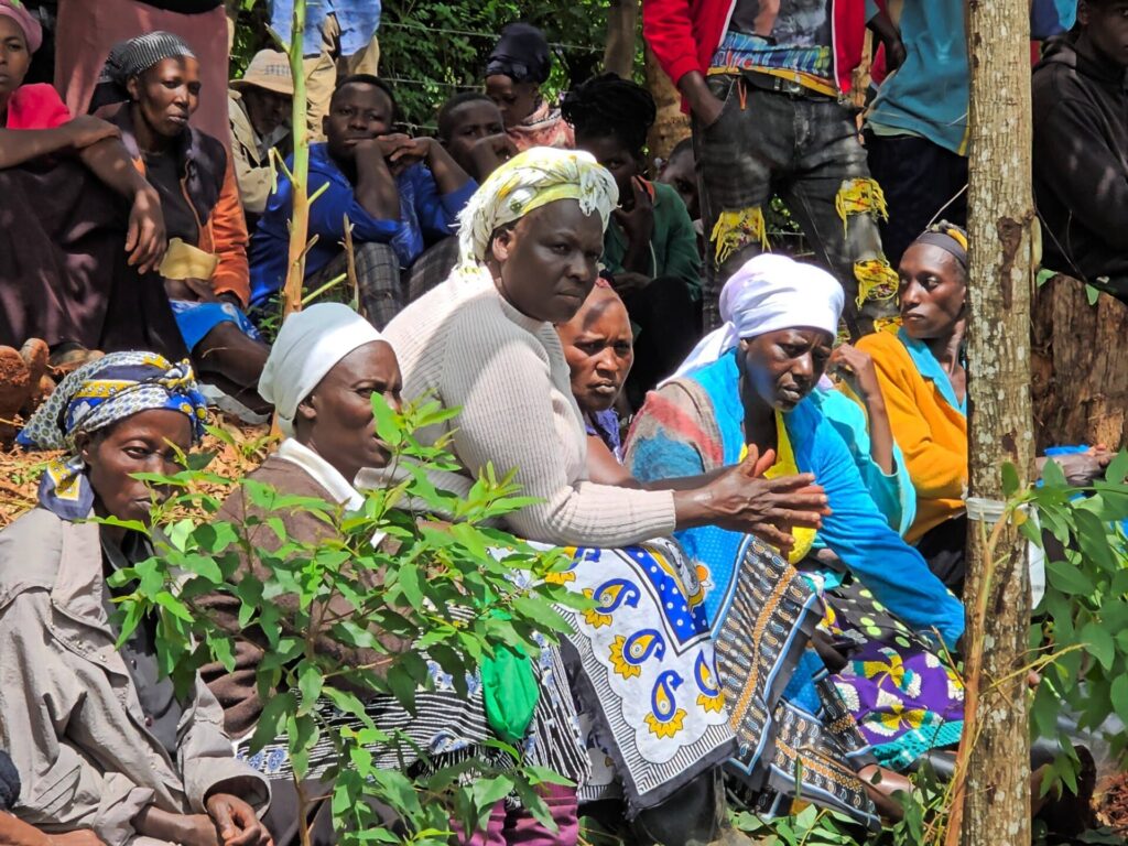 farmers attending avocado training session 