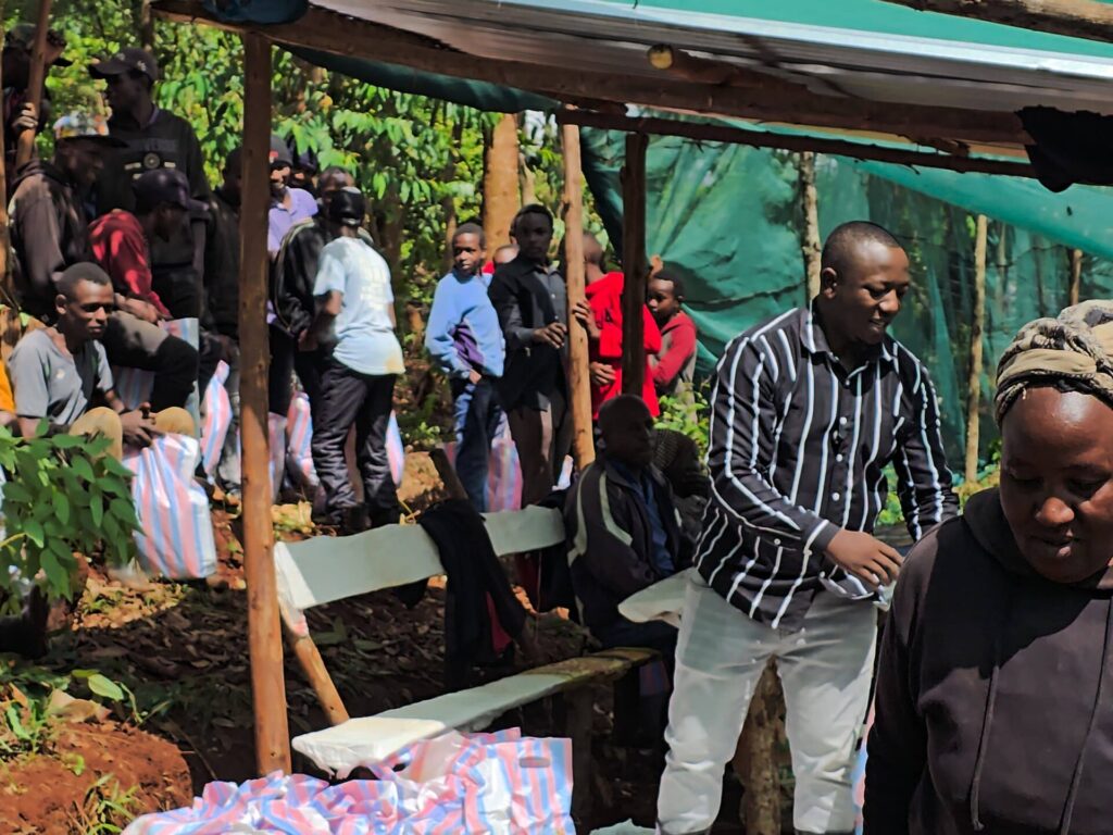 educating farmers on basil farming commercial farming in Kenya