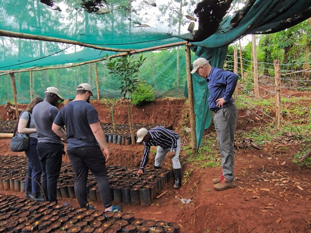 farmers inspecting avocado seedlings: Ready for sell on e-commerce platforms