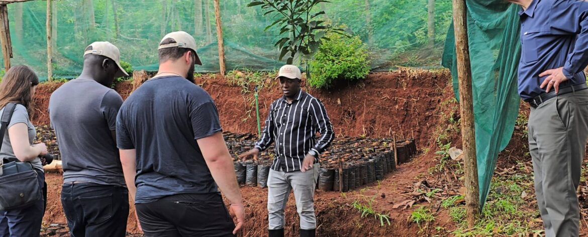 educating farmers on macadamia farming