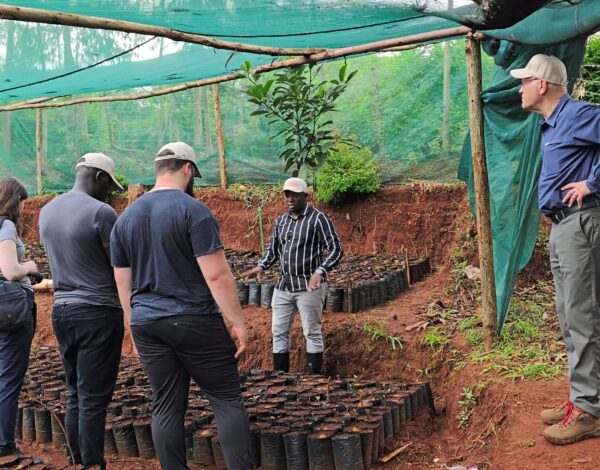 educating farmers on macadamia farming