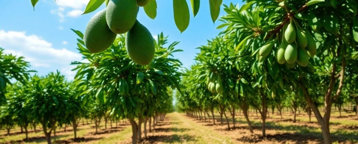 Lush green avocado trees with ripe fruits hanging, fertile soil beneath, under a bright blue sky on a vibrant farm.