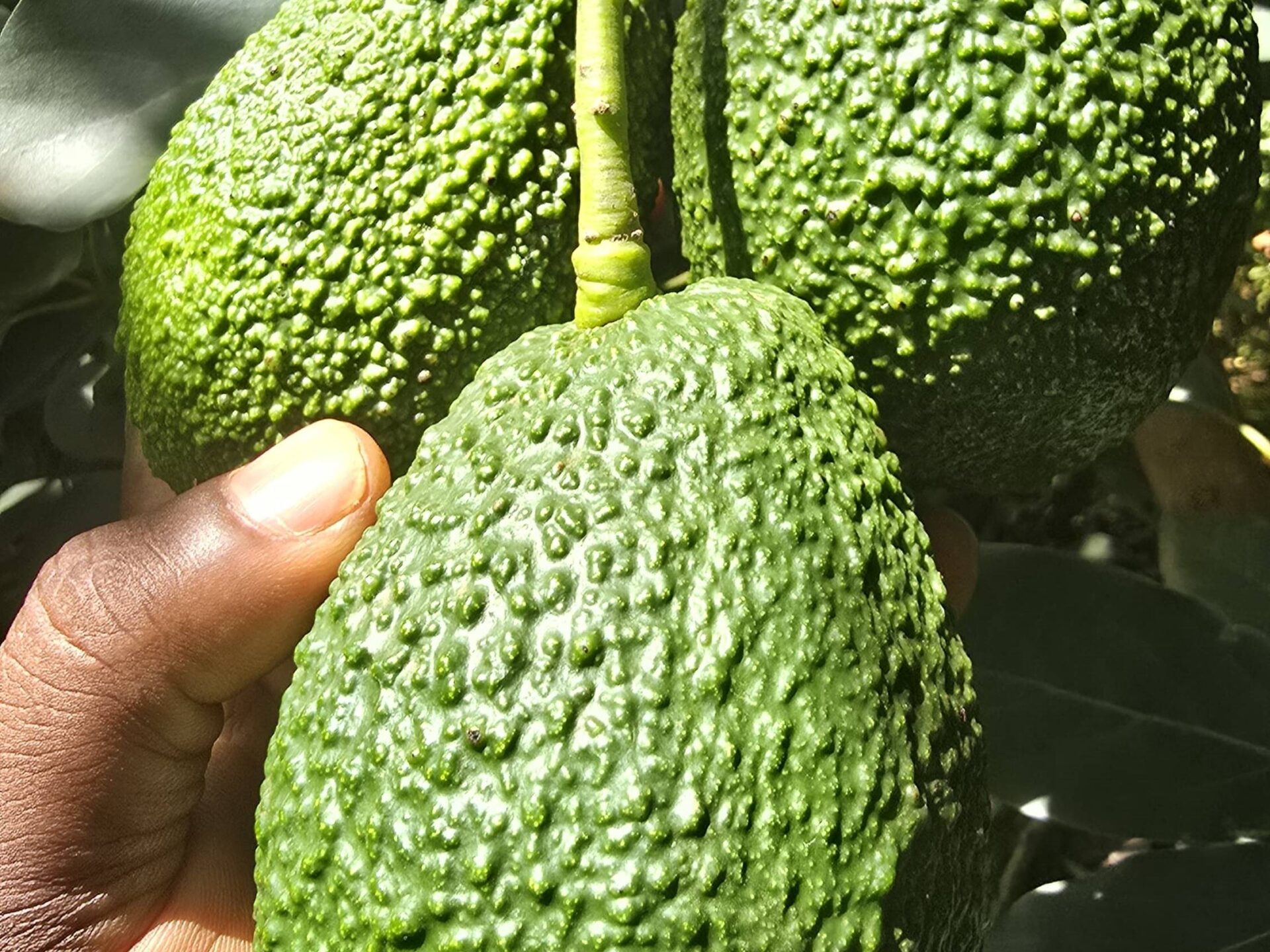 -ac66db87-1551-49e7-a1c6-b3ce416ca383