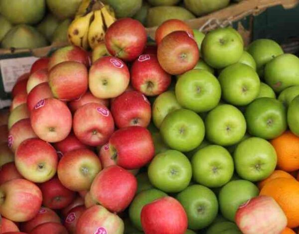 apple 002