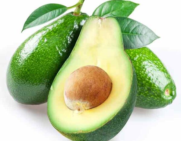 avocado-fuerte-b-type-2l_img3