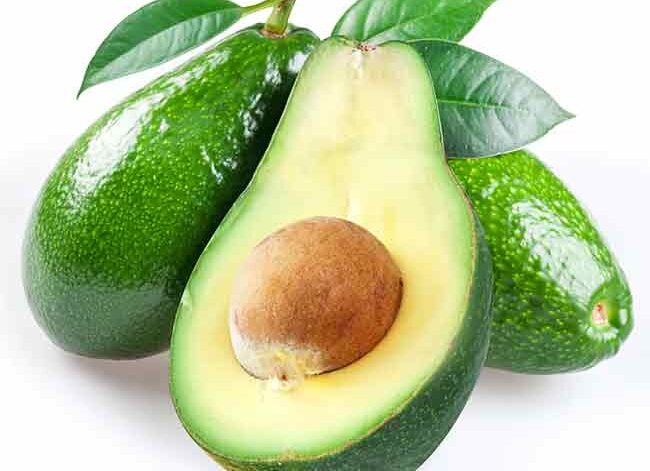 avocado-fuerte-b-type-2l_img3
