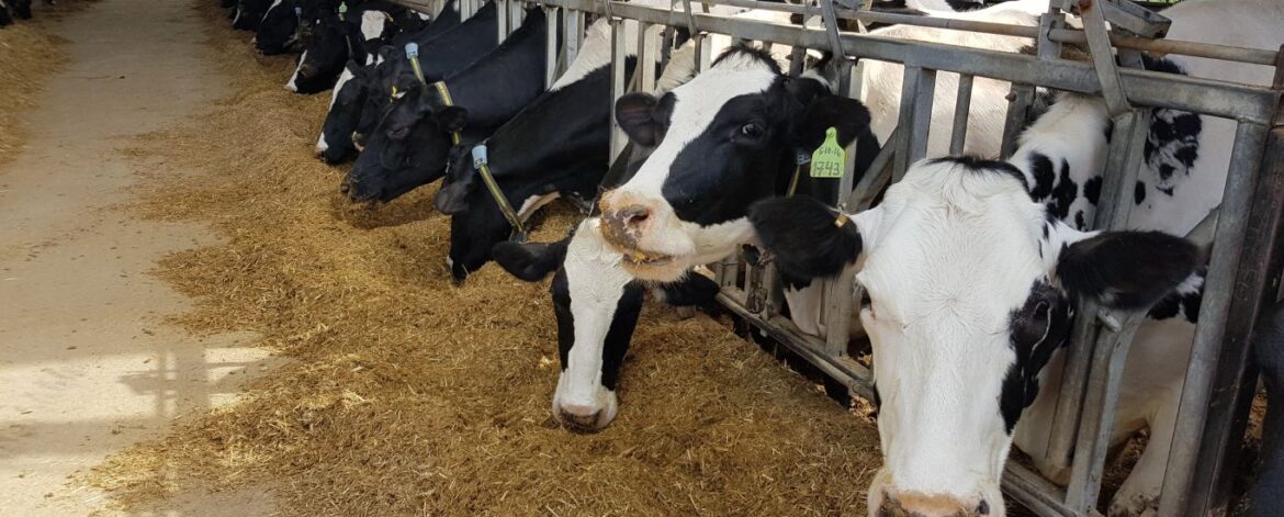 xr:d:DAFwAOgK5aA:2,j:1771445174413907704,t:23100108