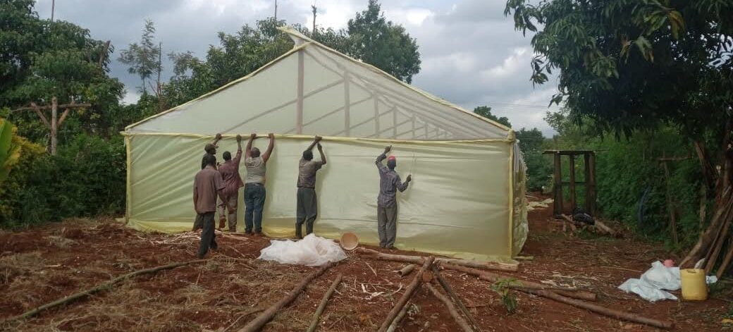 greenhouse001