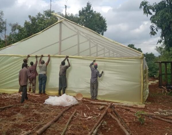 greenhouse001